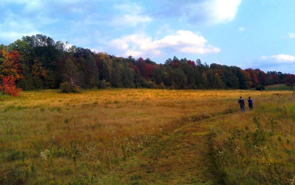 Two students walking outdoors in field