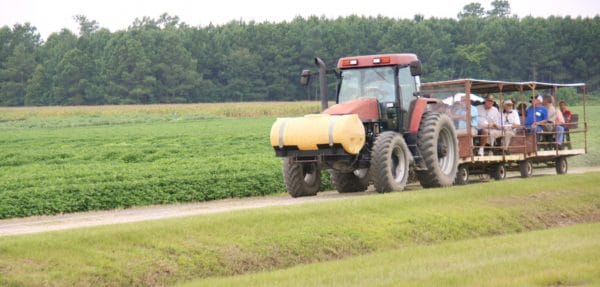 Clemson University college farm