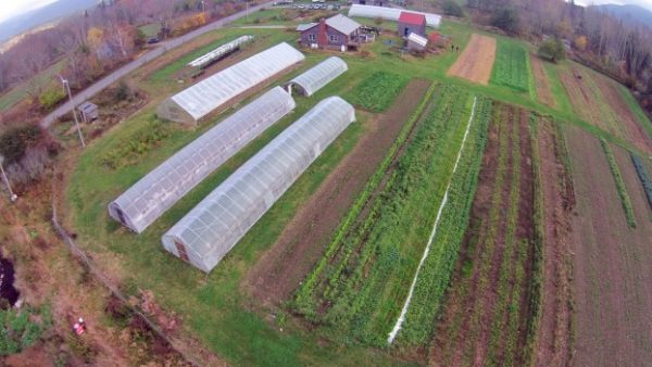 college of the Atlantic college farm