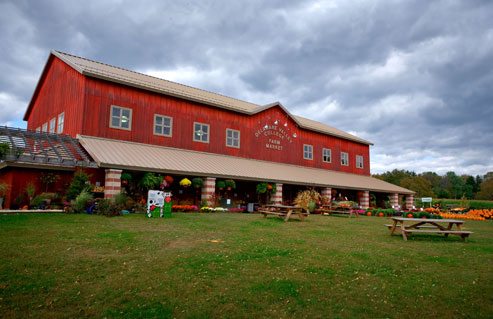 deleware valley university farm