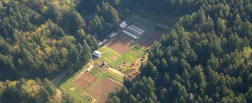 Evergreen State University college farm