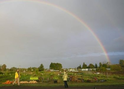 Oregon State college farm