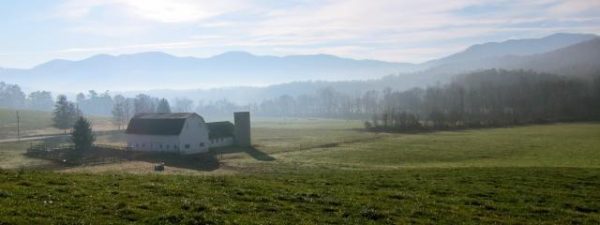 warren wilson college farm