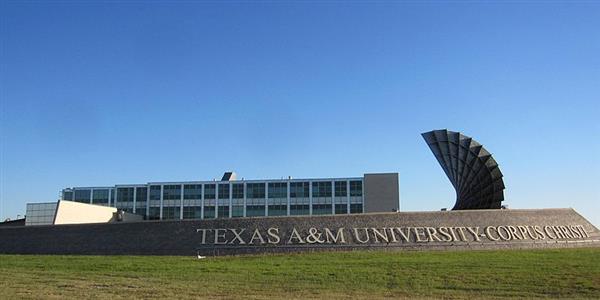 Outdoor view of Texas AM University - Corpus Christi campus