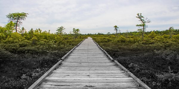 University of Maine, online colleges in Maine