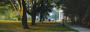 Outdoor view of wooded area on college campus