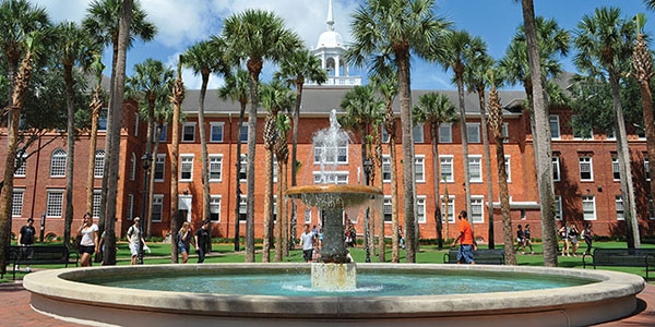 University of South Florida - Main Campus