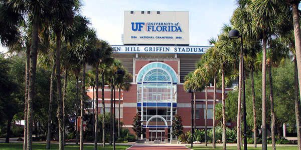 university of florida online universities