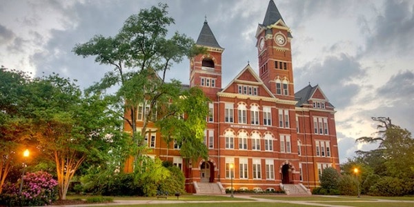 Auburn University online accounting degree