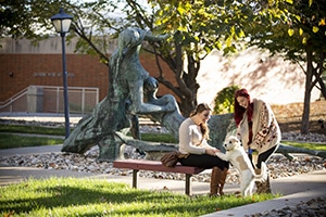 Pet-Friendly Colleges for Animal Lovers and Students Pet-Friendly Colleges for Animal Lovers and Students