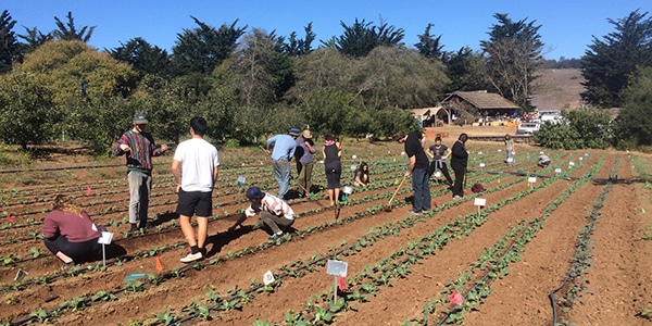 Students looking at plant life in field outdoors