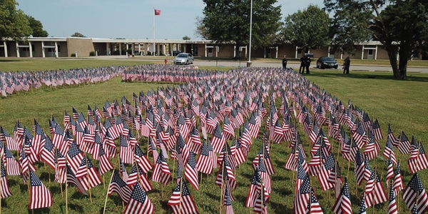 Small American flags on college lawn