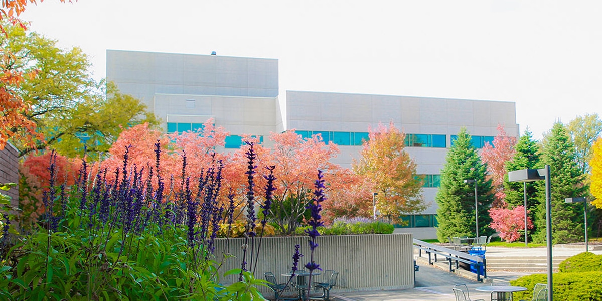 Outdoor view of college building