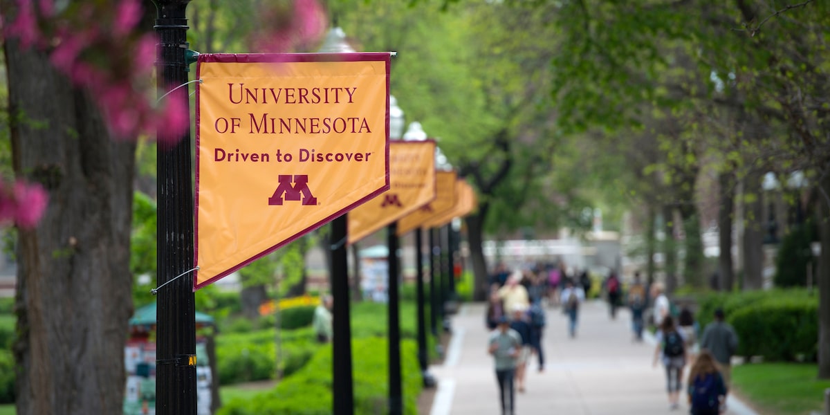 University of Minnesota flags hanging from poles outdoors