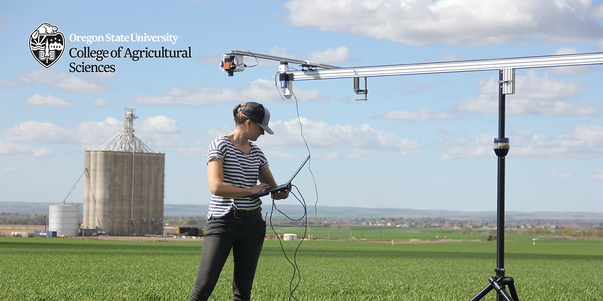 College student working outdoors by agriculture field