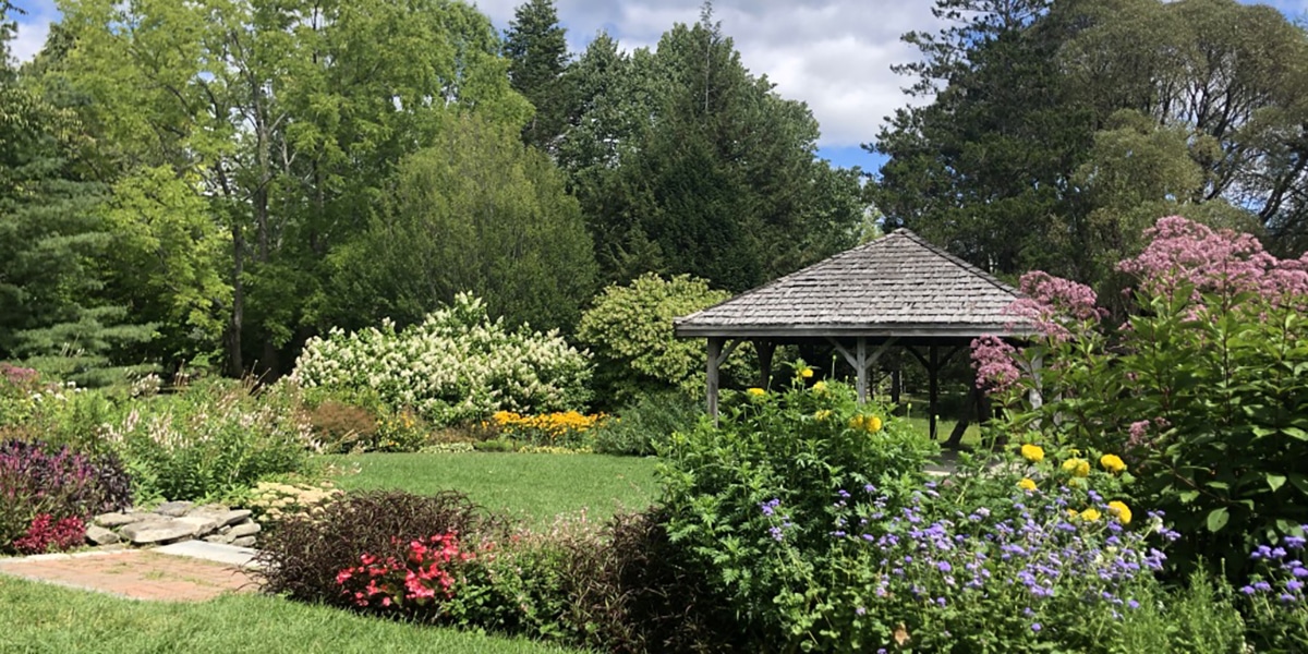 Green garden