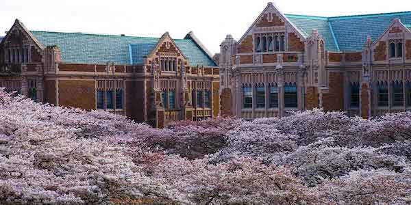 Outdoor view of University of Washington campus