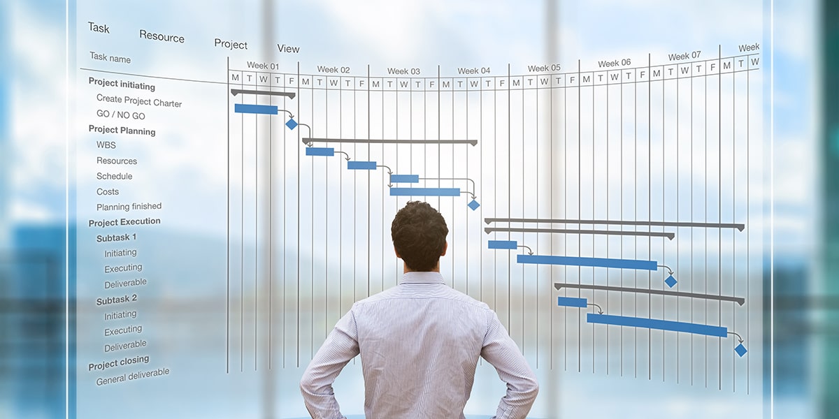 Business professional looking at project management schedule