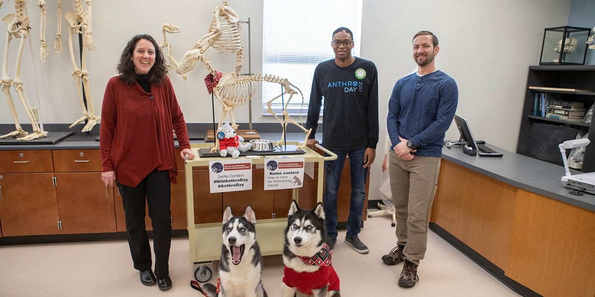 College students with two huskies in college classroom