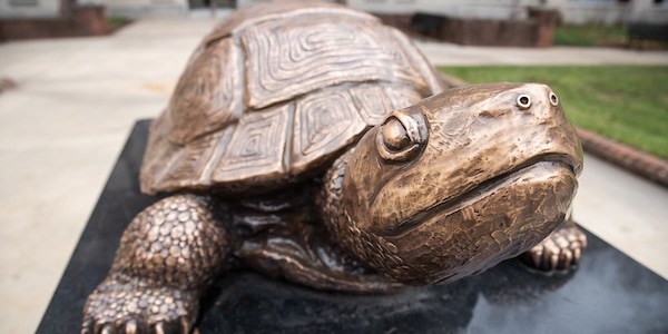 Turtle statue outdoors