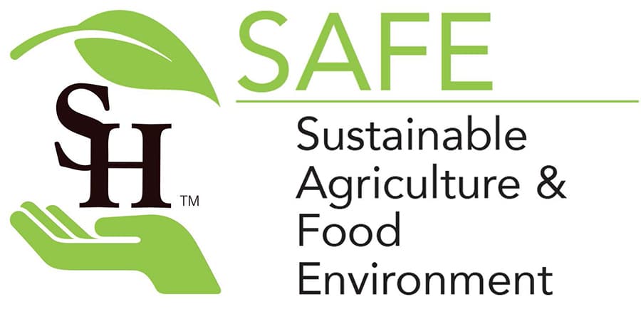 SAFE logo