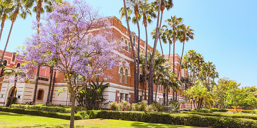 Outdoor view of college campus