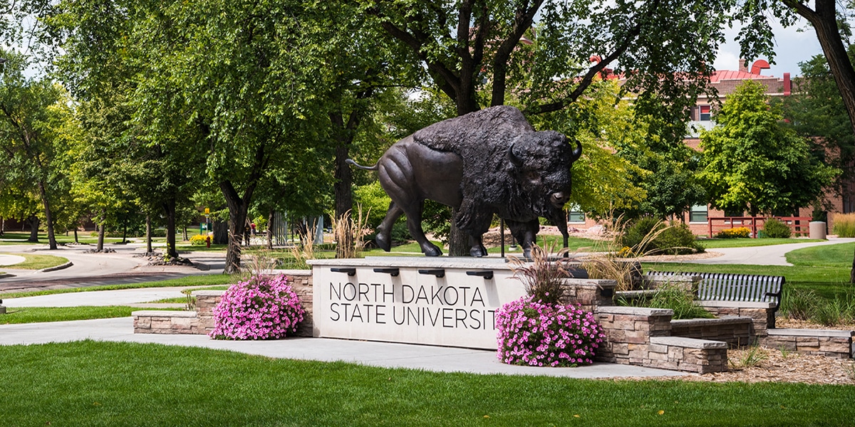 Outdoor view of North Dakota State University sign and bison on campus