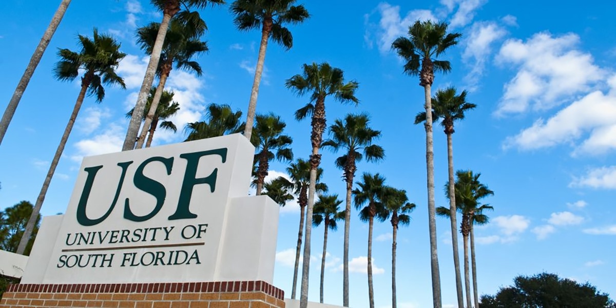 University of South Florida outdoor sign with palm trees in the background