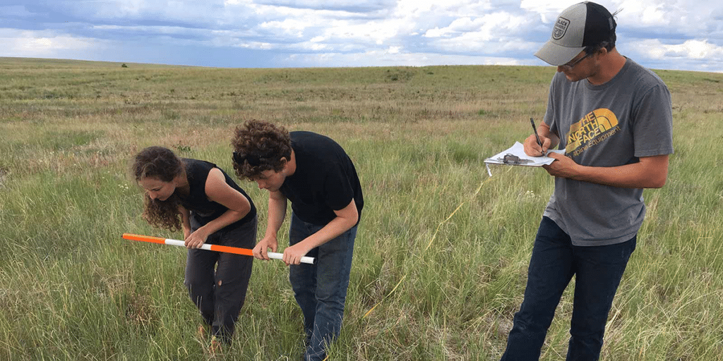 Three students looking at field outdoors