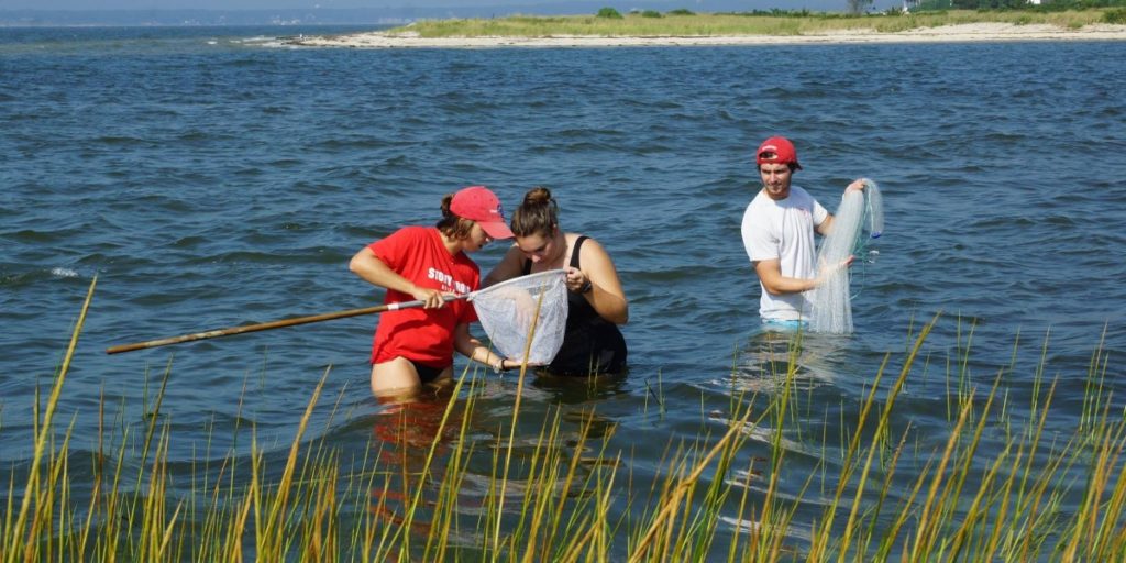 Group of students standing in lake and observing marine life