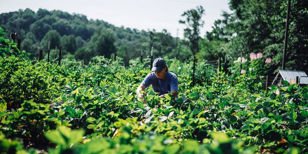 Student kneeling down in field of plants