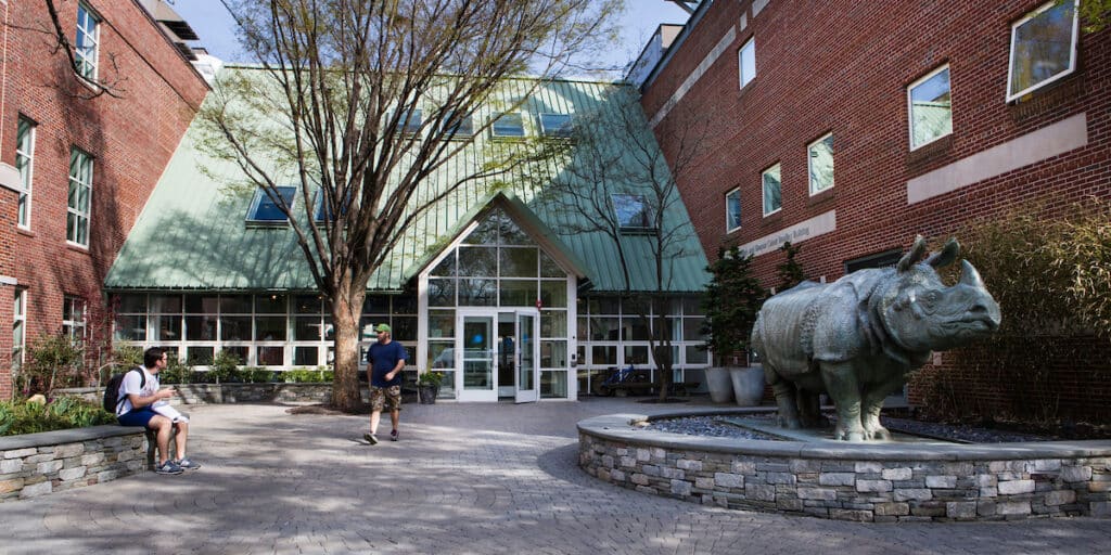 Outdoor view of museum and rhino statue