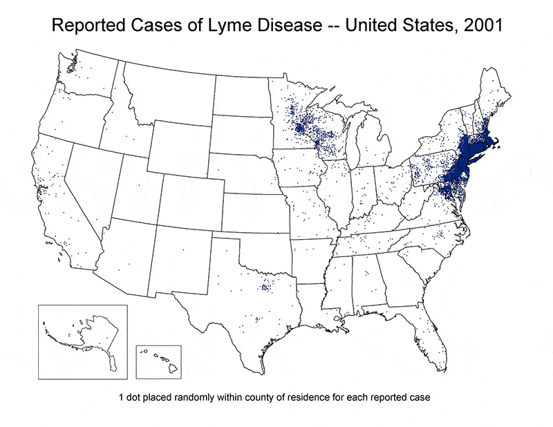 GIF showing an outbreak of lyme disease in the USA